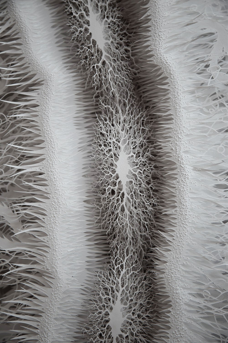 Illustration for article titled This haunting bacteria is actually an intricate hand-cut paper sculpture
